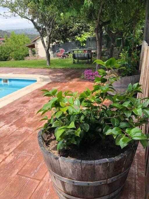 Entrepinos Casa de férias